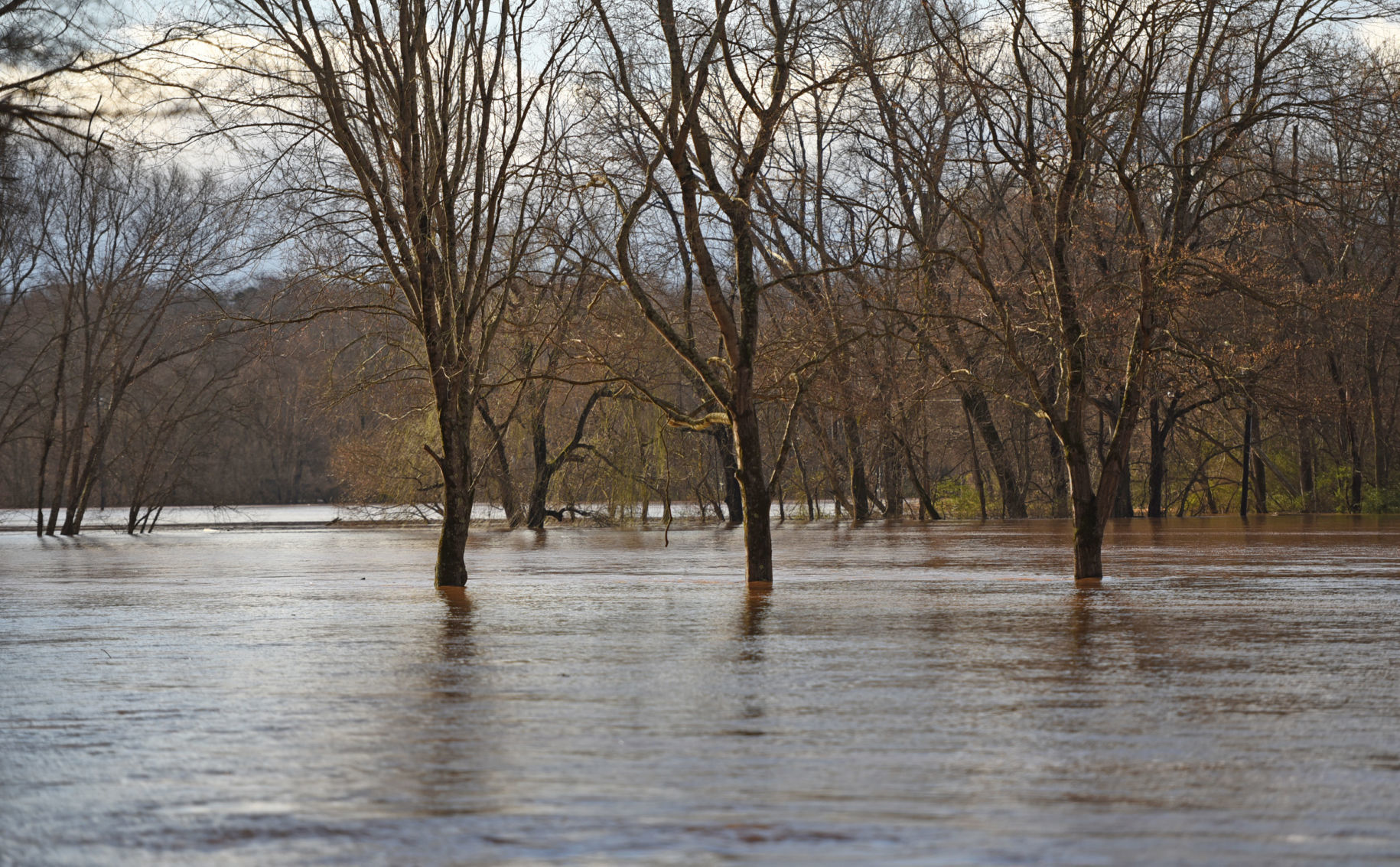 Yadkin River flooding